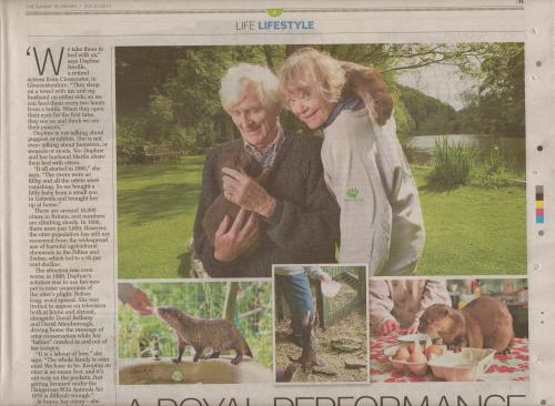 Otters in the Sunday Telegraph