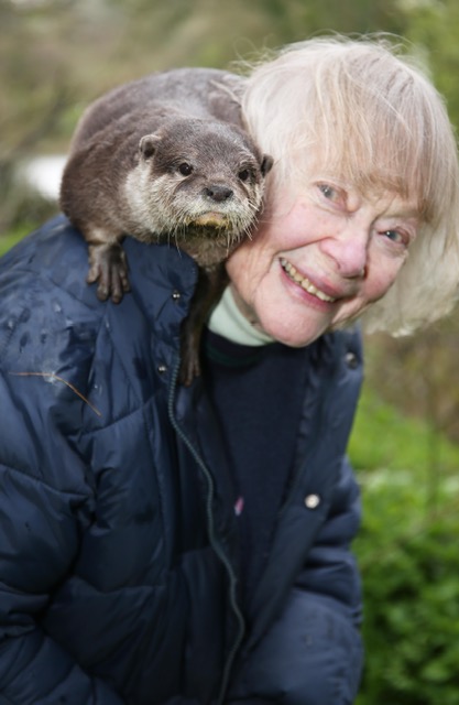 Animals from The Durrells