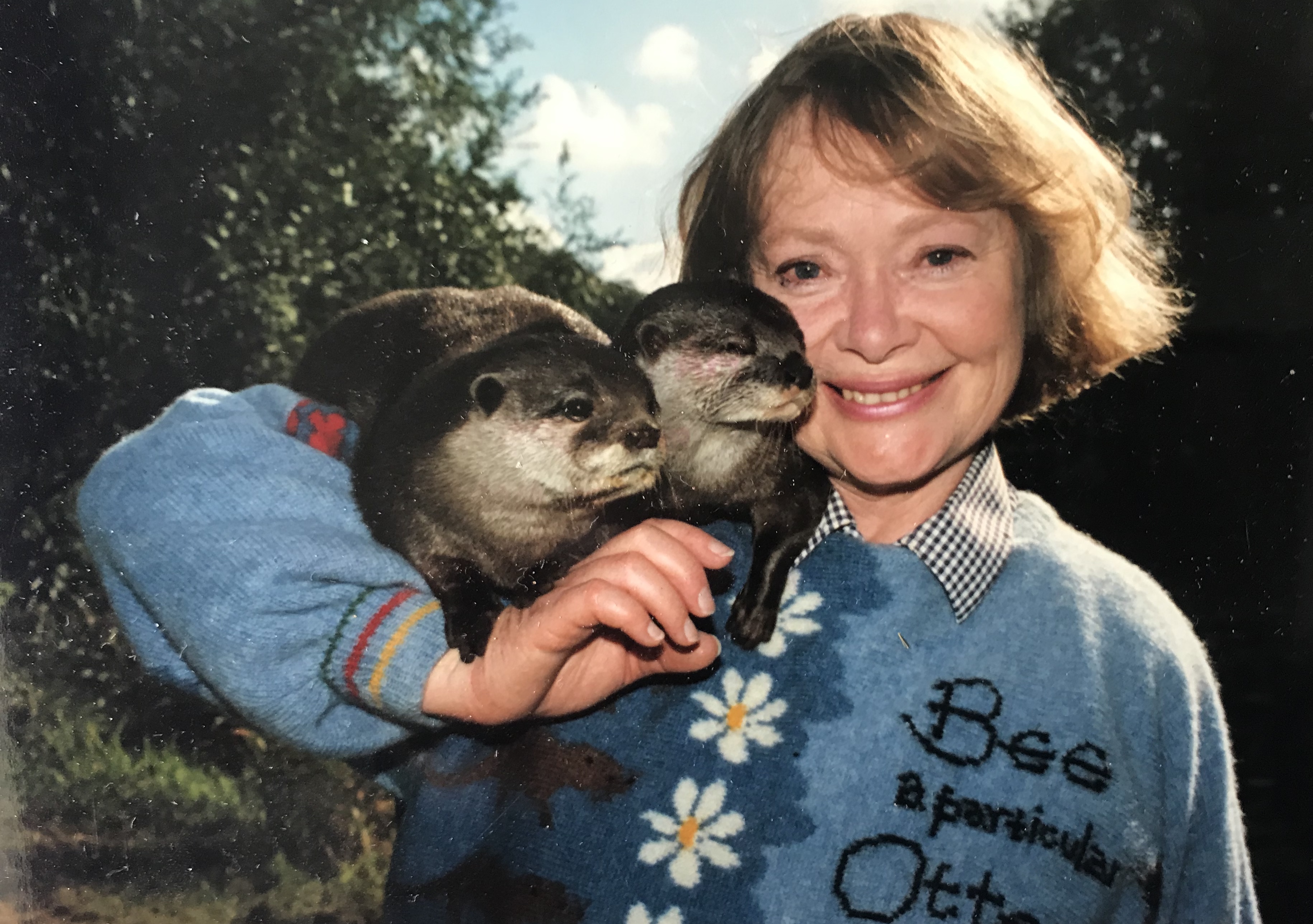 AEB16C72-BA6A-41BA-AE2D-AAD3611F7687_1_201_a